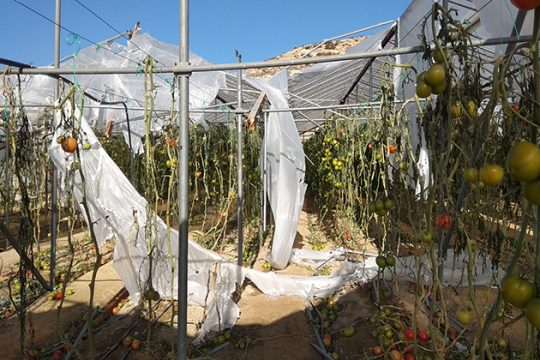 Σε κατάσταση έκτακτης ανάγκης Ιεράπετρα, Σητεία και Βιάννος