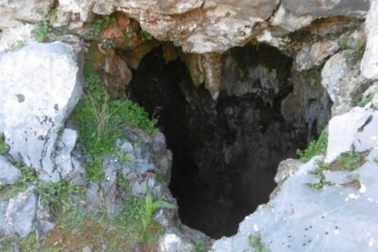 Επιχείρηση διάσωσης κουταβιών στο Φυσικό Πάρκο της Κέρης
