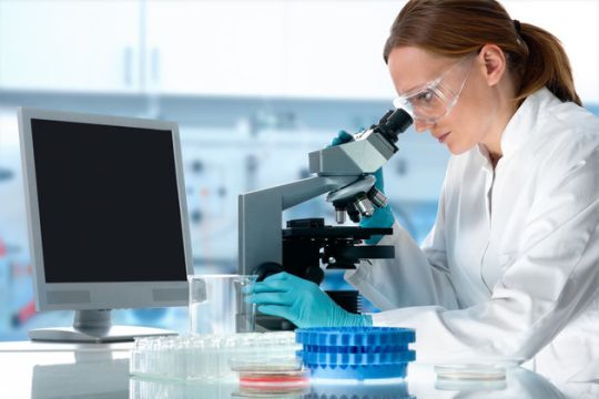 Βαδίζοντας ταχύτατα προς τη συνθετική ζωή