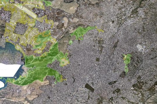 Σε λειτουργία η ιστοσελίδα με τους κυρωμένους δασικούς χάρτες