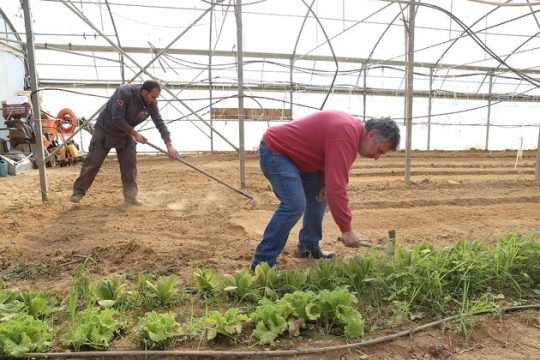 Οι θεραπευόμενοι στο Δαφνί έχουν το δικό τους περιβόλι