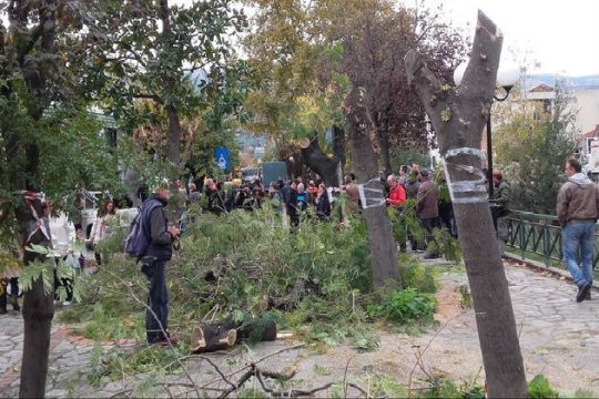 Παρέμβαση Πράσινων ευρωβουλευτών για την Καραμπατζάκη