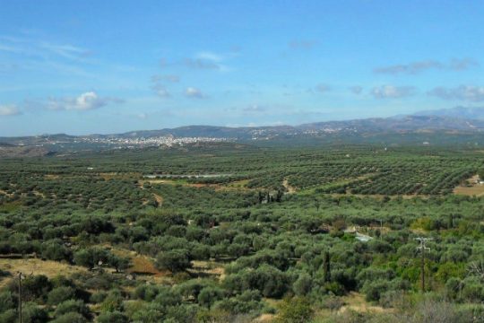 Καστέλλι: Αντιδράσεις για τις τιμές των απαλλοτριώσεων