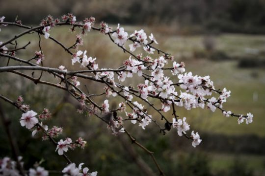 Καλοκαιρία σε όλη τη χώρα