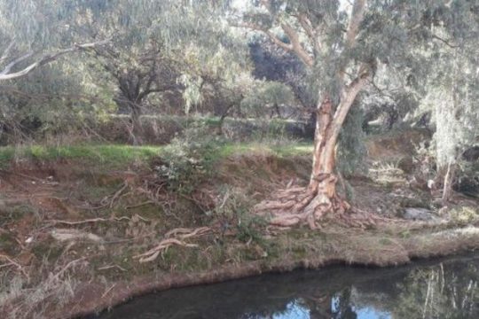 «Σώστε το ρέμα του Ποδονίφτη!»