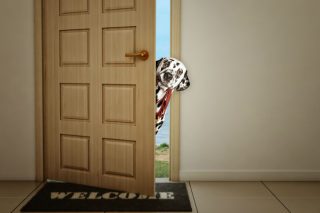 Τι κάνουν αυτά όταν καλούμε φίλους στο σπίτι;