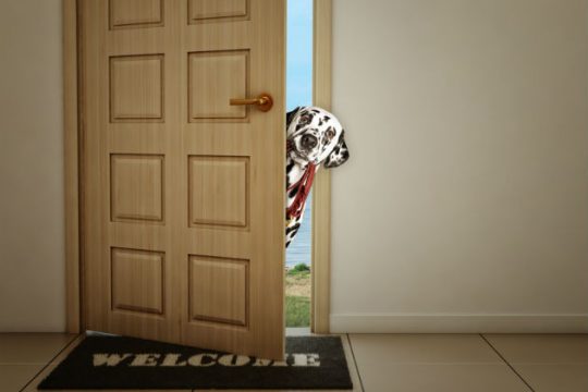 Τι κάνουν αυτά όταν καλούμε φίλους στο σπίτι;