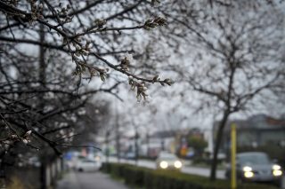 Βόλτα τις μικρές ώρες