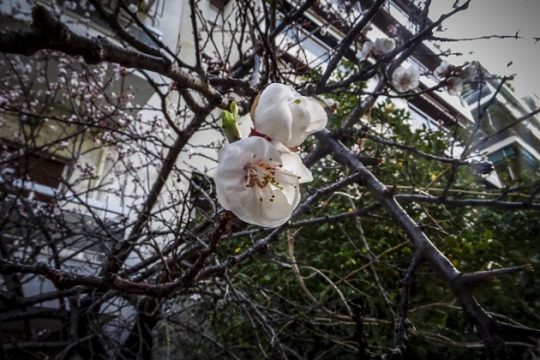 Ανοιξη, την πόρτα άνοιξε…