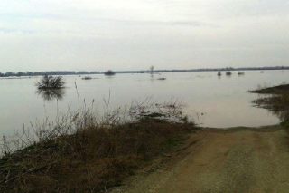 Απροσδόκητη επιβεβαίωση των επαναπροωθήσεων στον Έβρο
