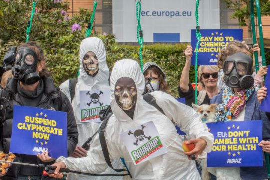 Η αλήθεια για το glyphosate