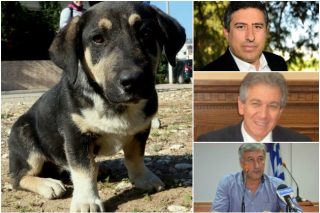 «Σκοτώστε το!»