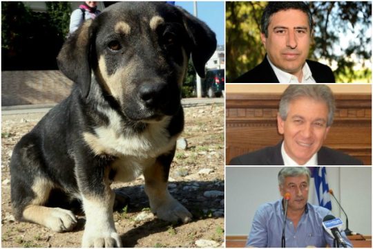 «Σκοτώστε το!»