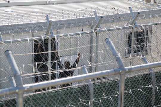 Οικογενειακή σύλληψη μετά την απόρριψη, σε δεύτερο βαθμό, του αιτήματος για άσυλο
