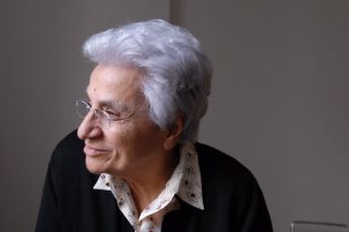Ο Διγενής και οι άλλοι ήρωες της Δόμνας