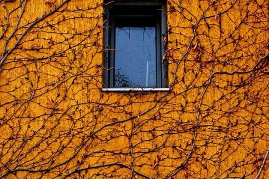 Δυο ώριμες φωνές από τον Βορρά