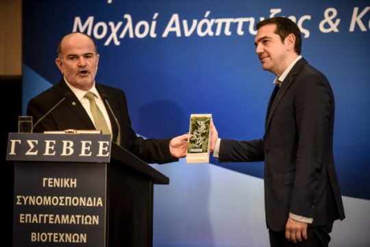 Κλάδος ελιάς