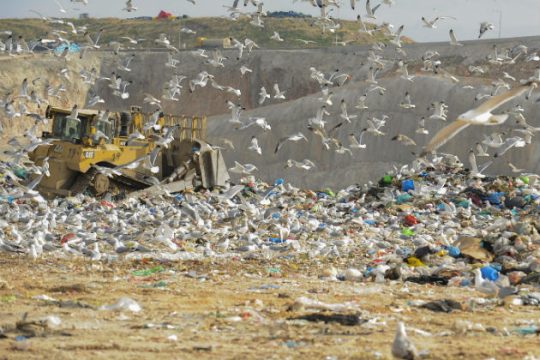 ΠΟΕ-ΟΤΑ: Στο φως οι μελέτες για τον ΧΥΤΑ Φυλής