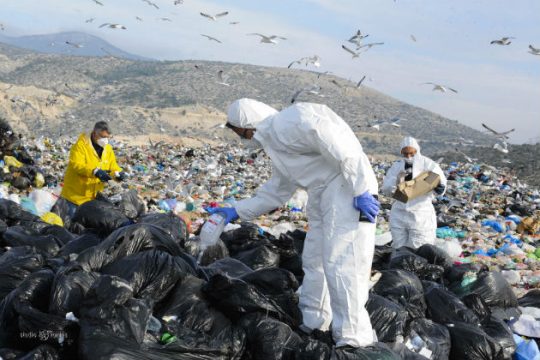 Σήμα κινδύνου