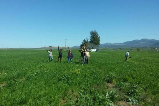 Γνωριμία με τα «χωράφια της αλληλεγγύης»