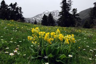 Προσκυνητές του ορεινού όγκου