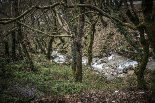 Λήξη συναγερμού για τον 9χρονο στα Καλάβρυτα