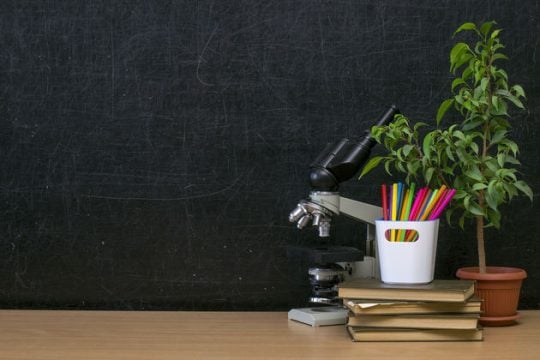 Διατηρείται η συνέντευξη για τα σχολικά στελέχη