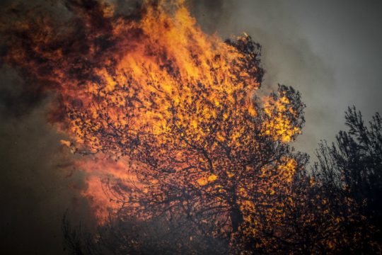 Μία σύλληψη για τις πυρκαγιές στην Ηλεία
