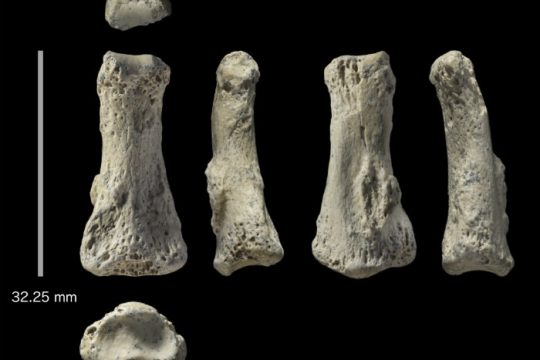 Απολίθωμα Homo sapiens 85.000 ετών στη Σαουδική Αραβία