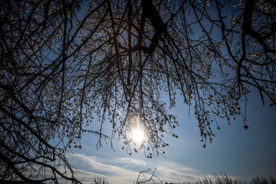 Ηλιοφάνεια και άνοδος της θερμοκρασίας