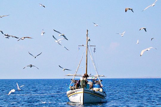 Τα «ξύλινα τείχη» της παράδοσης γκρεμίζονται