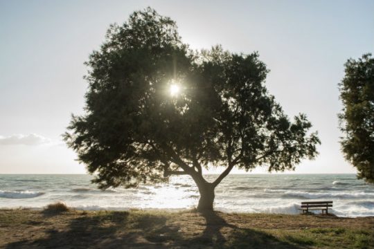 Οι οκτώ υψηλότερες θερμοκρασίες της Κυριακής