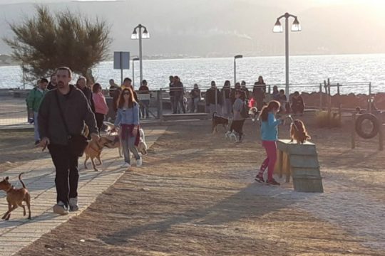 Εγκαινιάστηκε το Πάρκο Σκύλων στον Καράβολα