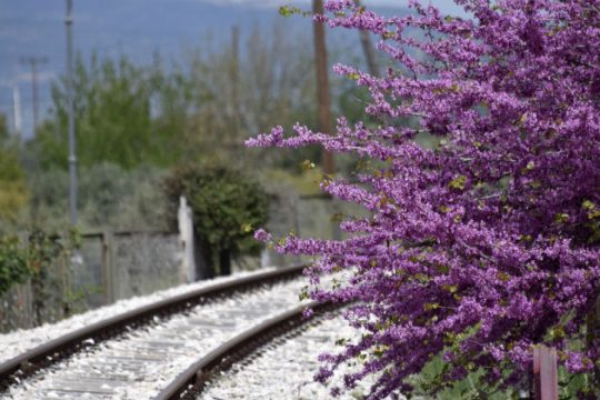Η εξέλιξη του καιρού έως και τη Δευτέρα του Πάσχα