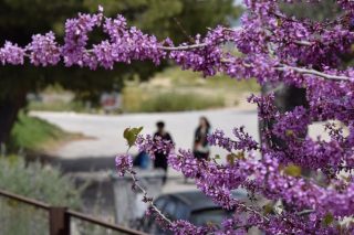 Συνήθης απροθυμία επομένη εορτής