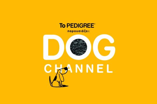 Το Pedigree® παρουσιάζει το Dog Channel