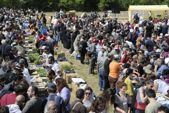 Ο παραδοσιακός σπόρος περνά από χέρι σε χέρι και από γενιά σε γενιά