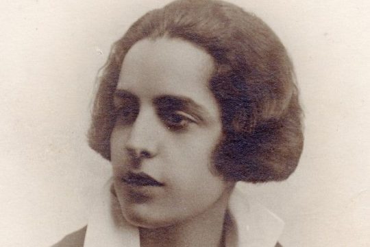 Κάρυνη θήκη