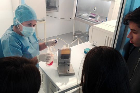Δύο χρόνια λειτουργίας της Δημόσιας Τράπεζας Βλαστοκυττάρων Κρήτης