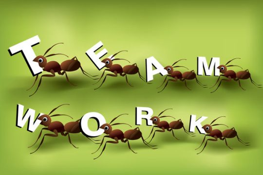 Εργασιακή μεταρρύθμιση, το μεγάλο ψέμα της ευρωκρίσης