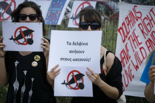 «Σταματήστε τις παράνομες παραστάσεις με φυλακισμένα δελφίνια»