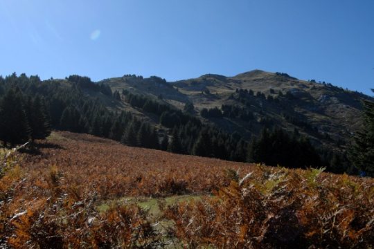 Εθνικό έγκλημα στα Αγραφα