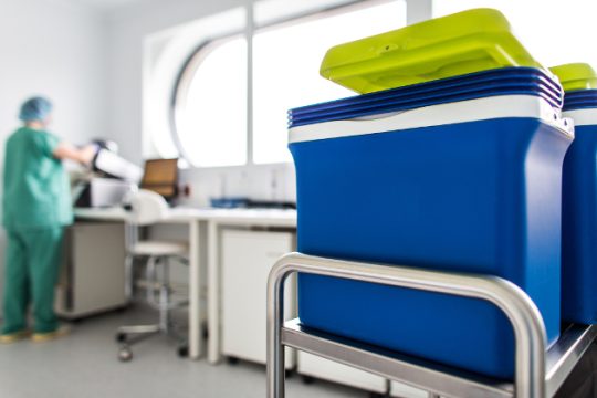 Αντικαρκινικά φάρμακα: Ατζέντες-φωτιά και πολύτιμοι λίθοι