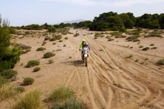 Γκαζιές και ροδιές πάνω στις φωλιές των Καρέτα Καρέτα!