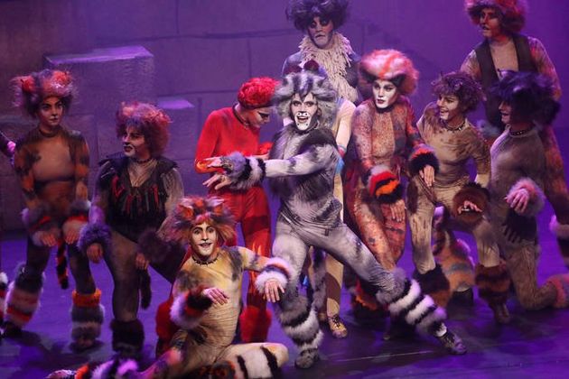 Cats: τα ελληνικά «γατιά» που λένε παγκόσμιες αλήθειες!