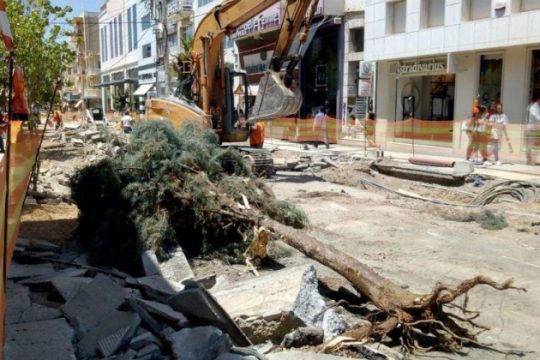 Ηράκλειο: Ξαναφύτεψαν το δέντρο που έπεσε στη Λ. Δικαιοσύνης