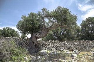 Καινοτομία και βιωσιμότητα