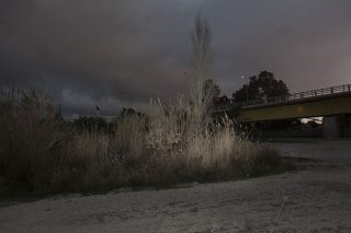 Δημιουργικός πάνω στο φτερό του καρχαρία