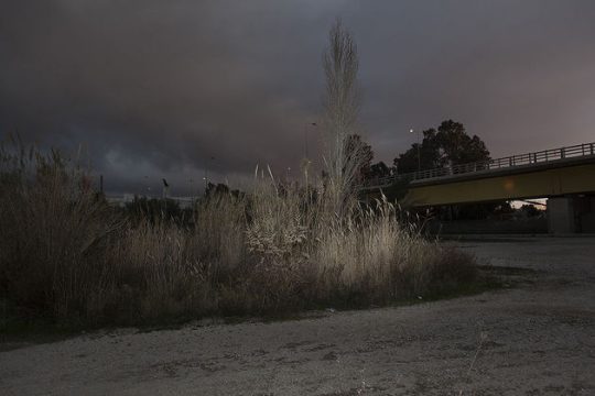 Δημιουργικός πάνω στο φτερό του καρχαρία