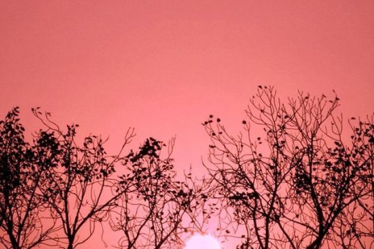 Το ποίημα ως κατοικήσιμος τόπος